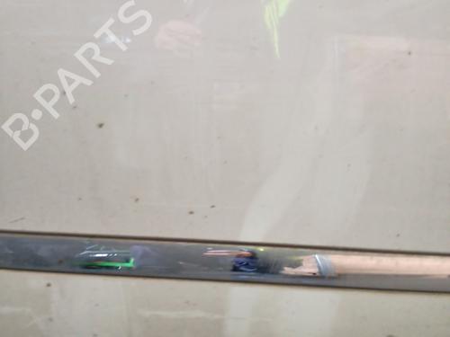 Right front door RENAULT SCÉNIC III (JZ0/1_) 1.5 dCi | BP31980691C3 
