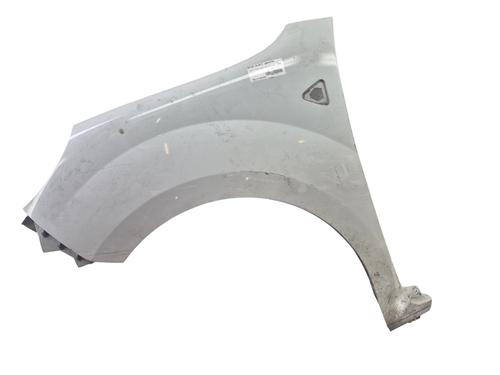 Used Left front fenders RENAULT KANGOO Express (FW0/1_) 1.5 dCi 85 (FW0K, FW0L, FW0B) (86 hp) 28819170