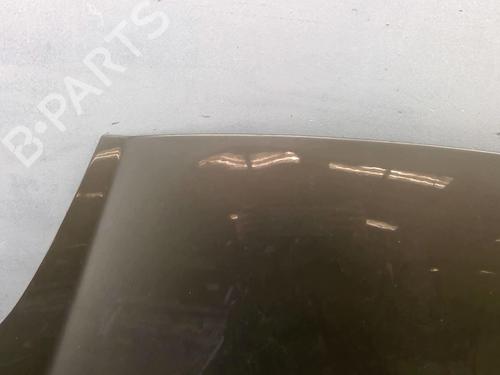 Hood FIAT BRAVO II (198_) 1.9 D Multijet (198AXE1A) | BP25089719C1