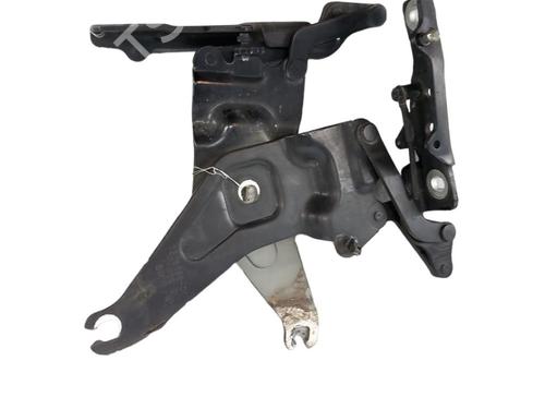 Used Hinge/Door check strap BMW X6 (E71, E72) xDrive 40 d (306 hp) 25076441