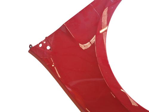 Left front fenders RENAULT CLIO III (BR0/1, CR0/1) 1.2 16V (BR02, BR0J, BR11, CR02, CR0J, CR11) | BP25653997C41 