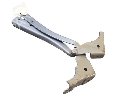 Hinge/Door check strap FIAT GRANDE PUNTO (199_)  | BP25098950C146 