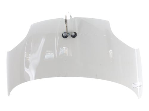 Used Hood Hood FIAT PANDA (312_, 319_) 1.2 (312PXA1A) (69 hp) 39738384 39738384