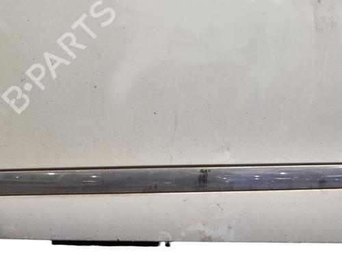 Left front door RENAULT SCÉNIC III (JZ0/1_) 1.5 dCi | BP31980692C2 