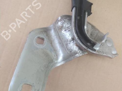 Hinge/Door check strap RENAULT CLIO III (BR0/1, CR0/1) 1.6 16V (BR09, BR0T, CR09, CR0T) | BP25101351C146 