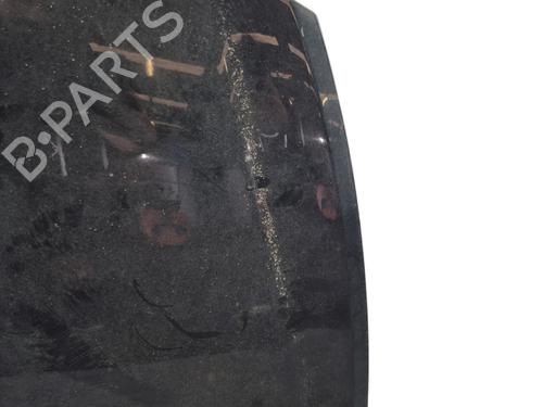 Hood RENAULT CLIO III (BR0/1, CR0/1) 1.5 dCi (C/BR0G, C/BR1G) | BP25735920C1 