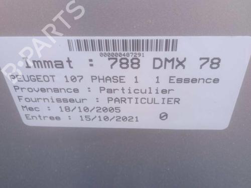 Tailgate PEUGEOT 107 (PM_, PN_) 1.0 | BP25105101C6