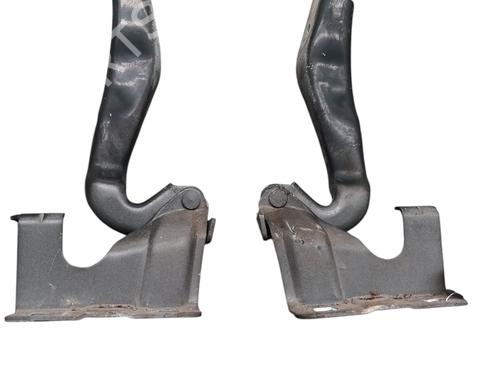 hingedoor-check-strap-renault-koleos-i-hy_-2008-26021312 main image