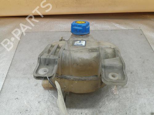 Used Expansion tank FIAT PUNTO EVO (199_) 1.2 (65 hp) 25105388