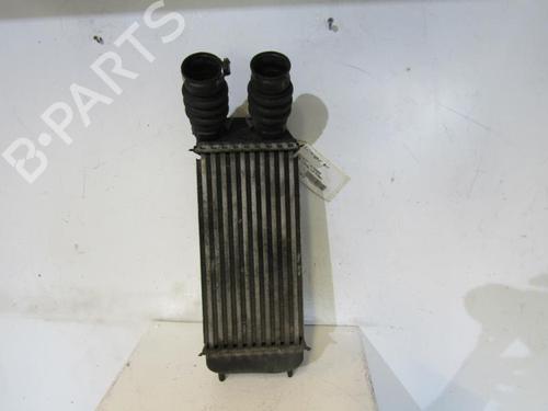 Used Intercooler Intercooler PEUGEOT 206 Hatchback (2A/C) 1.6 HDi 110 (109 hp) 25111913 25111913