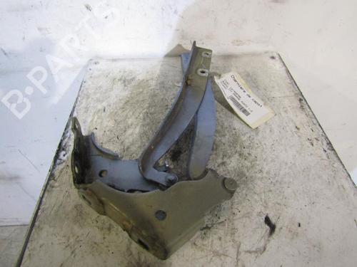 Used Hinge/Door check strap FIAT GRANDE PUNTO (199_) 1.3 D Multijet (75 hp) 25105942
