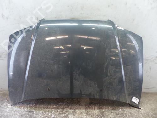 Used Hood HYUNDAI TRAJET (FO) 2.0 CRDi (113 hp) 25082885