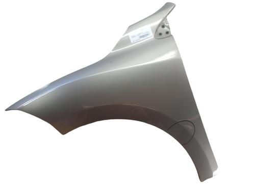 Used Left front fenders RENAULT MEGANE III Hatchback (BZ0/1_, B3_) 1.9 dCi (BZ0N, BZ0J) (131 hp) 25060038