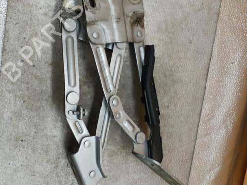 Used Hinge/Door check strap VW CADDY III MPV (2KB, 2KJ, 2CB, 2CJ) 1.9 TDI (105 hp) 25110433