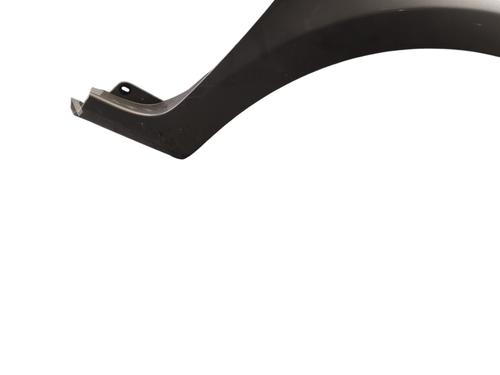 Right front fenders RENAULT CLIO III (BR0/1, CR0/1) 1.5 dCi (BR17, CR17) | BP29956372C42