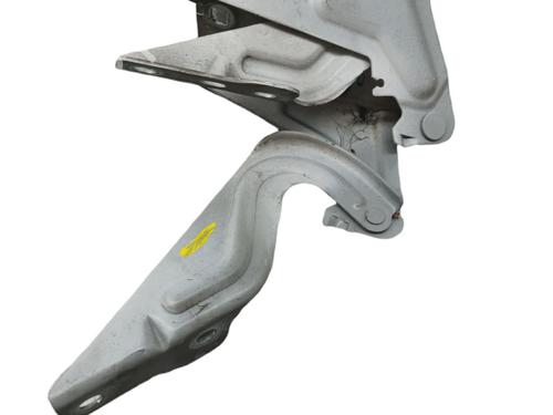 Hinge/Door check strap SEAT IBIZA IV SC (6J1, 6P5) 1.4 | BP25103970C146 