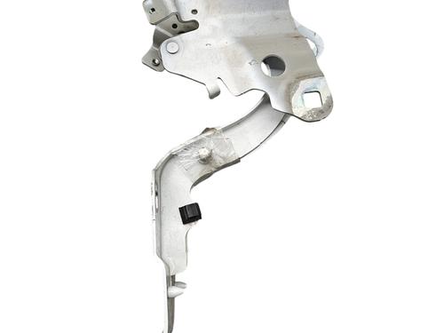 Hinge/Door check strap RENAULT ZOE (BFM_) ZOE | BP25769243C146 - Image 4