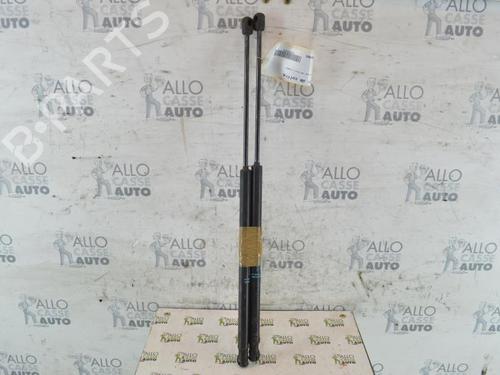 Used Tailgate lift support PEUGEOT 1007 (KM_) 1.4 (75 hp) 25087031