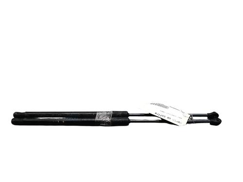 Used Tailgate lift support RENAULT CLIO V (B7_) 1.0 TCe 90 (B7MT) (91 hp) 25052743
