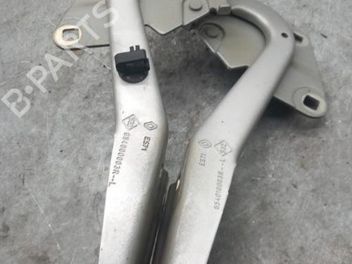 hingedoor-check-strap-renault-megane-iii-hatchback-bz01_-b3_-2008-25055485 main image