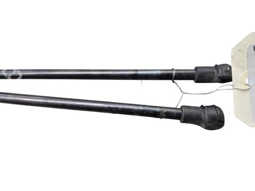 Tailgate lift support BMW 1 (F20) 118 d | BP25075272C138