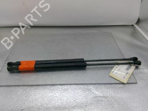 tailgate-lift-support-renault-clio-iii-hatchback-van-sb_-sr_-2005-25108043 main image