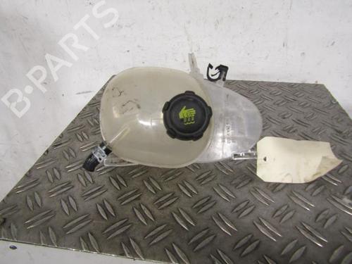 Used Expansion tank RENAULT TWINGO III (BCM_, BCA_) 1.0 SCe 70 (71 hp) 25108222
