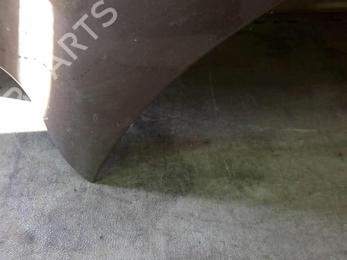 Hood RENAULT SCÉNIC III (JZ0/1_) 1.5 dCi | BP25082713C1