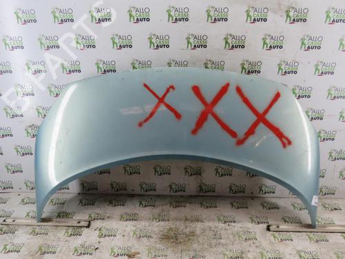 Used Hood RENAULT SCÉNIC II (JM0/1_) [2003-2010]  25070934
