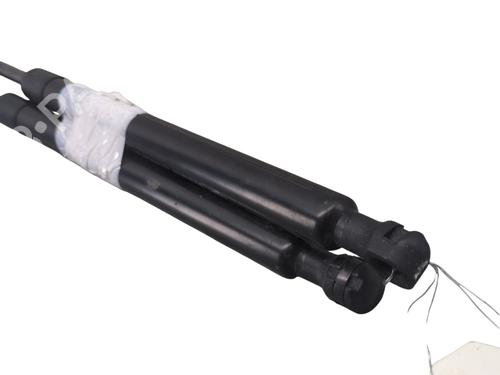 tailgate-lift-support-renault-megane-iv-hatchback-b9amn_-2015-29942999 main image