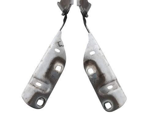 Hinge/Door check strap RENAULT TWINGO II (CN0_) 1.2 16V (CN04, CN0B) | BP27385388C146 