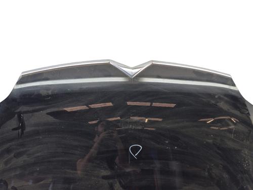Hood CITROËN C5 III Break (RW_) 1.6 HDi 110 (RW9HZC) | BP25728333C1 
