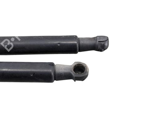 Used Tailgate lift support Tailgate lift support NISSAN QASHQAI I (J10, NJ10) 1.6 dCi (130 hp) 31669830 31669830
