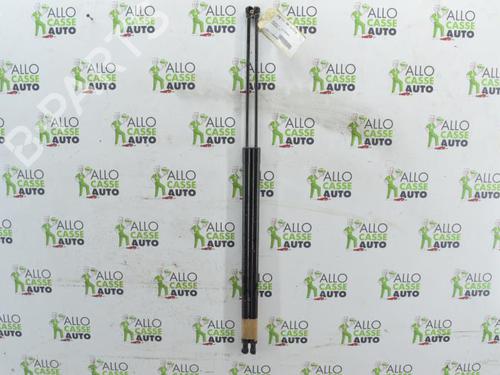 Used Tailgate lift support RENAULT KANGOO / GRAND KANGOO II (KW0/1_) 1.5 dCi 110 (KW06, KW12) (110 hp) 25115048