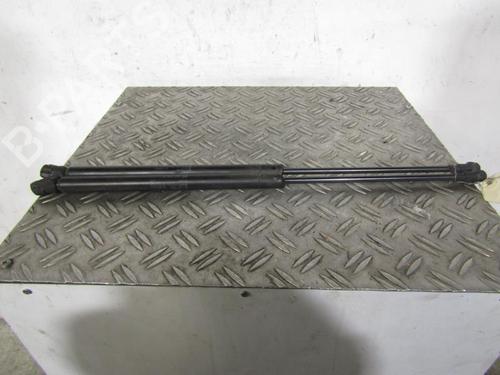 Used Tailgate lift support SEAT LEON (1M1) 1.9 TDI (110 hp) 25091662