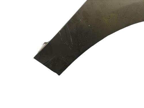 Used Right front fenders RENAULT SCÉNIC III (JZ0/1_) 1.9 dCi (JZ0J, JZ1J, JZ1K, JZ1S) (131 hp) 25088138