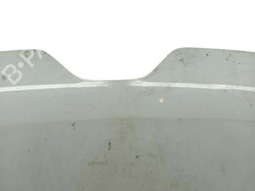 Hood RENAULT MASTER III Van (FV) 2.3 dCi 130 FWD (FV0M, FV0Y, FV0J, FV02, FV03) | BP29513782C1 