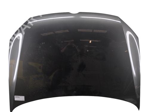 Hood VW POLO V (6R1, 6C1) 1.0 | BP29513710C1 