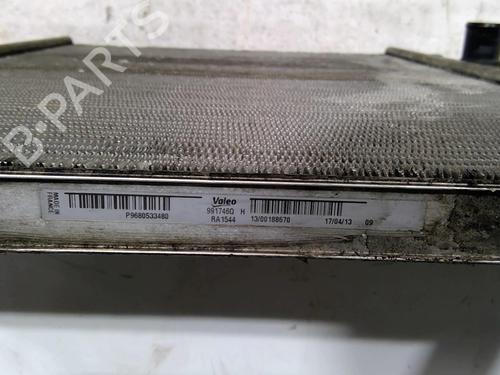 Used Water radiator Water radiator PEUGEOT PARTNER Tepee 1.6 HDi (114 hp) 25093742 25093742
