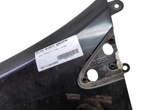 Left front fenders RENAULT CLIO III (BR0/1, CR0/1) 1.5 dCi (BR17, CR17) | BP29508361C41 