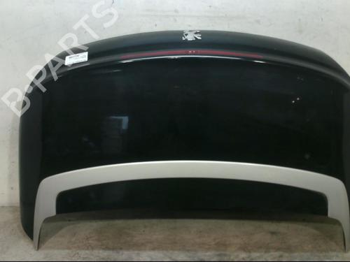 Tailgate PEUGEOT 207 CC (WD_) 1.6 HDi | BP25078087C6 