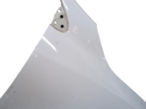 Right front fenders RENAULT MEGANE III Grandtour (KZ0/1) 1.5 dCi (KZ09, KZ0D, KZ1G, KZ29, KZ14, KZ1W, KZ10, KZ1F,... | BP27702636C42 