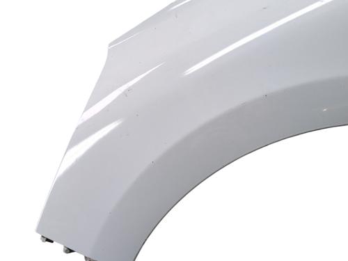 Left front fenders RENAULT CLIO IV (BH_) 1.5 dCi 90 | BP29560618C41 