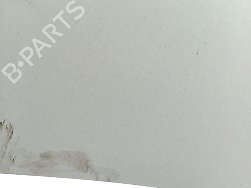 Hood RENAULT MASTER III Van (FV) 2.3 dCi 130 FWD (FV0M, FV0Y, FV0J, FV02, FV03) | BP29513782C1 