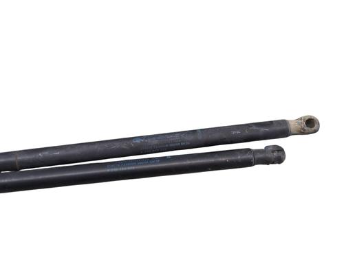 tailgate-lift-support-renault-grand-scenic-ii-jm01_-2004-2005-2006-2007-2008-2009-33181498 main image