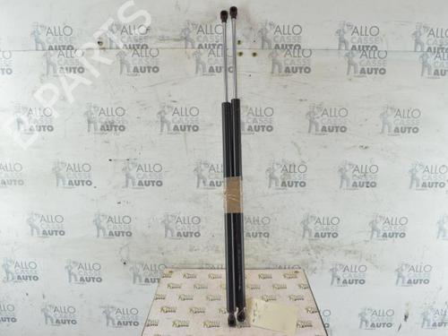 Used Tailgate lift support RENAULT ESPACE IV (JK0/1_) 2.0 dCi (JK02, JK03) (131 hp) 25097547
