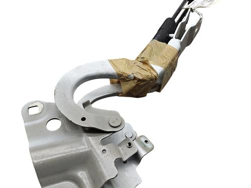 Hinge/Door check strap RENAULT ZOE (BFM_)  | BP29160593C146 