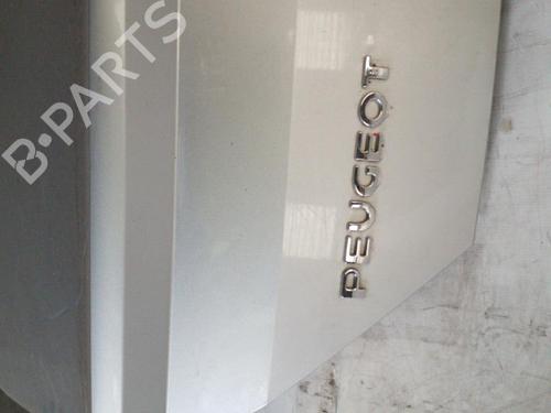 Used Tailgate Tailgate 25078267 25078267