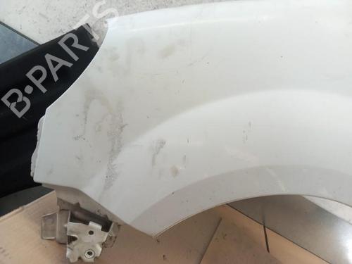 Left front fenders RENAULT KANGOO (KC0/1_) 1.5 dCi | BP25060188C41 