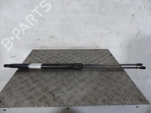 Used Tailgate lift support NISSAN JUKE (F15) 1.5 dCi (110 hp) 25065162